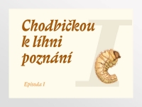 Úvodní titulková obrazovka 2 – epizoda 1