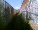 Hidden scenes of London